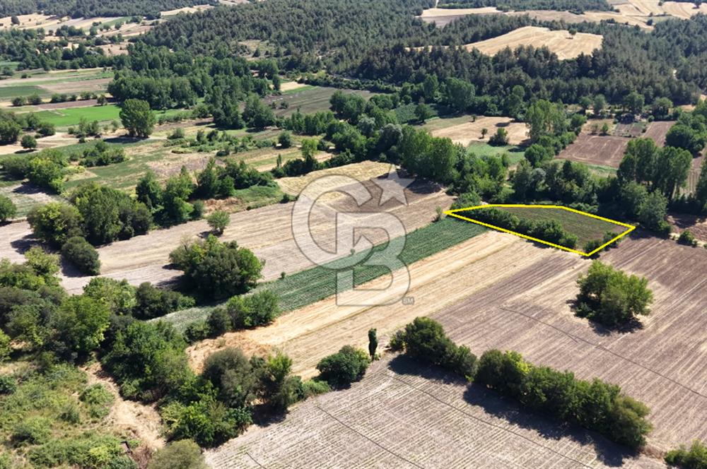 YENİŞEHİR İNCİRLİ'DE KÖY MERKEZİNE 200 M MESAFEDE 2.400 m² ARAZİ