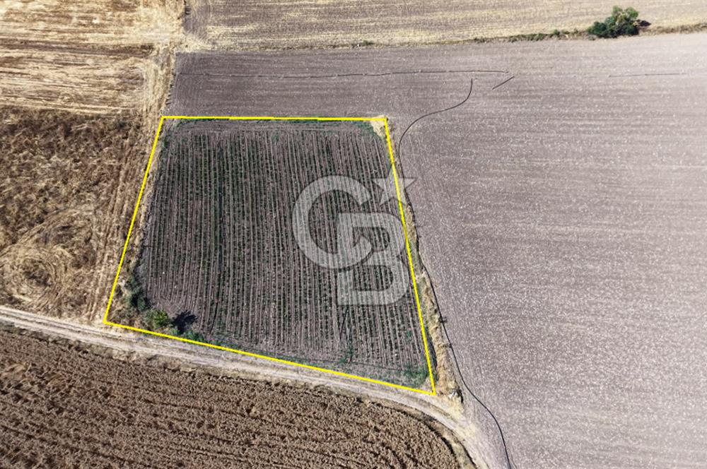 BURSA YENİŞEHİR İNCİRLİ'DE 1.800 m² YATIRIMLIK ARAZİ