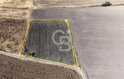 BURSA YENİŞEHİR İNCİRLİ'DE 1.800 m² YATIRIMLIK ARAZİ