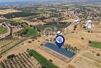 C.B.ROUTE | İZMİR DİKİLİ KIRATLIDA SATILIK YATIRIMLIK TARLA - 1 - 370634