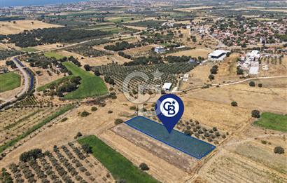 C.B.ROUTE | İZMİR DİKİLİ KIRATLIDA SATILIK YATIRIMLIK TARLA