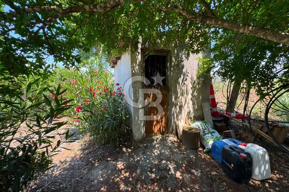 MUĞLA MİLAS'DA GENİŞ ARSA İÇİNDE SATILIK MÜSTAKİL VİLLA