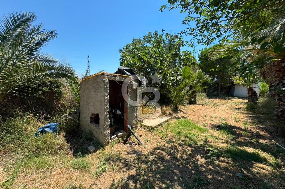MUĞLA MİLAS'DA GENİŞ ARSA İÇİNDE SATILIK MÜSTAKİL VİLLA