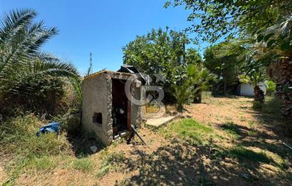 MUĞLA MİLAS'DA GENİŞ ARSA İÇİNDE SATILIK MÜSTAKİL VİLLA
