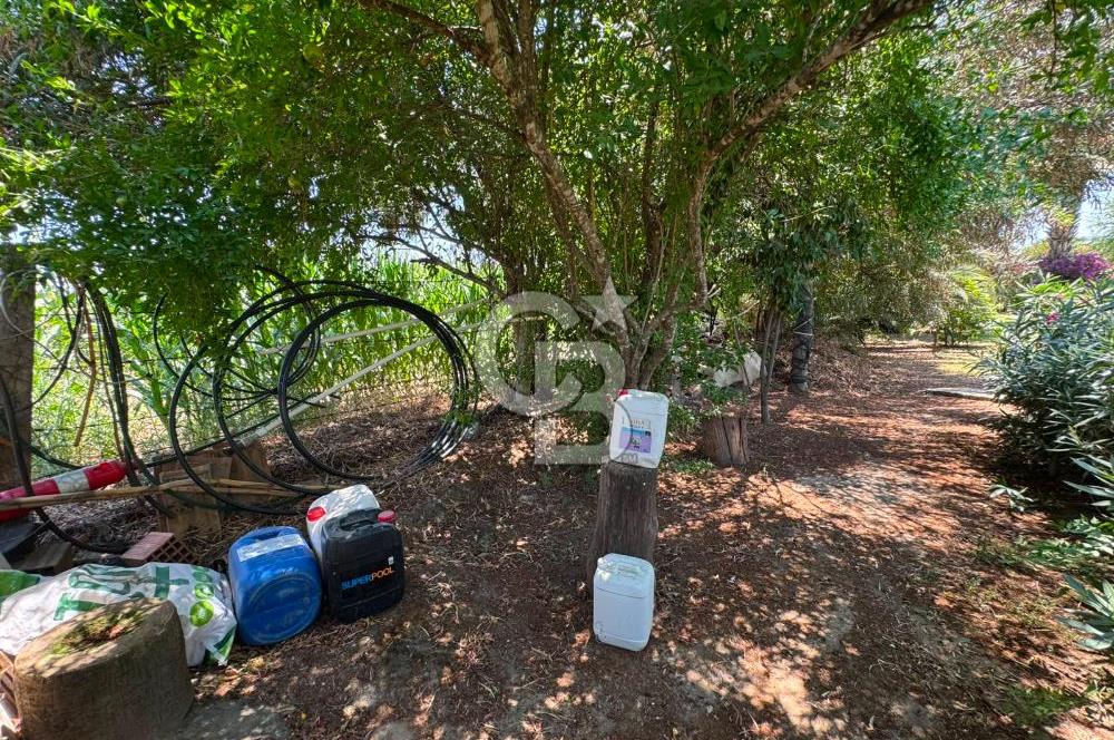 MUĞLA MİLAS'DA GENİŞ ARSA İÇİNDE SATILIK MÜSTAKİL VİLLA