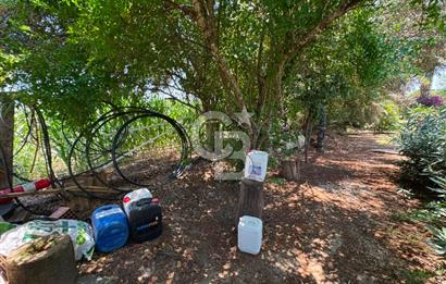 MUĞLA MİLAS'DA GENİŞ ARSA İÇİNDE SATILIK MÜSTAKİL VİLLA