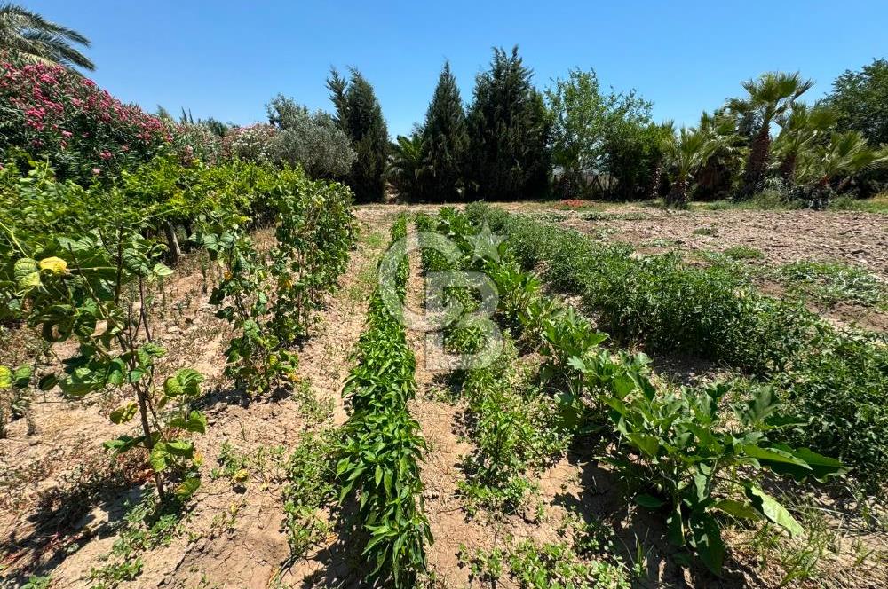 MUĞLA MİLAS'DA GENİŞ ARSA İÇİNDE SATILIK MÜSTAKİL VİLLA