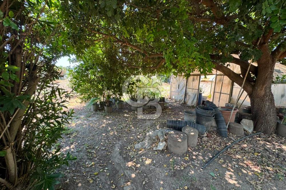 MUĞLA MİLAS'DA GENİŞ ARSA İÇİNDE SATILIK MÜSTAKİL VİLLA