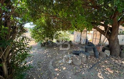MUĞLA MİLAS'DA GENİŞ ARSA İÇİNDE SATILIK MÜSTAKİL VİLLA