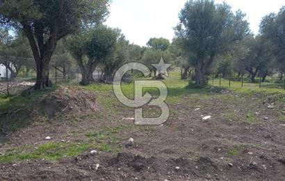 EVONA'DAN ŞEHZADELER KAĞAN MAHALLESİ'NDE 1.200 M² ARSA | 250 M²
