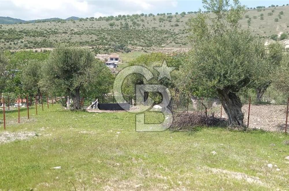 EVONA'DAN ŞEHZADELER KAĞAN MAHALLESİ'NDE 1.200 M² ARSA | 250 M²