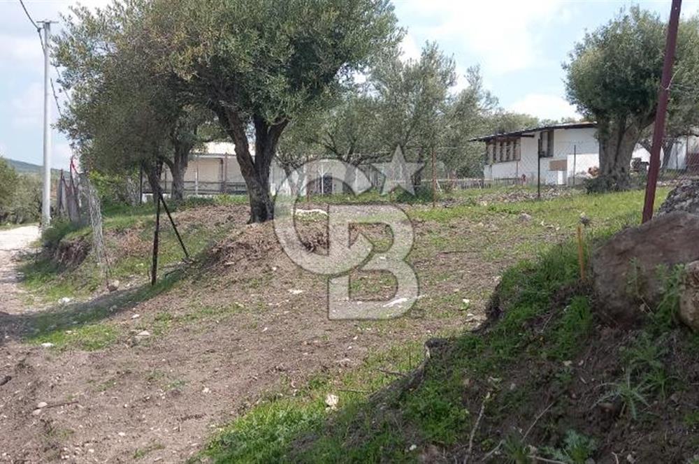 EVONA'DAN ŞEHZADELER KAĞAN MAHALLESİ'NDE 1.200 M² ARSA | 250 M²