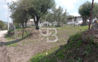 EVONA'DAN ŞEHZADELER KAĞAN MAHALLESİ'NDE 1.200 M² ARSA | 250 M²