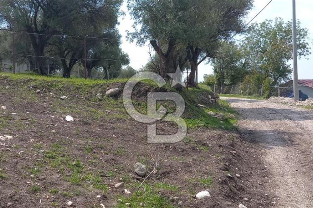 EVONA'DAN ŞEHZADELER KAĞAN MAHALLESİ'NDE 1.200 M² ARSA | 250 M²