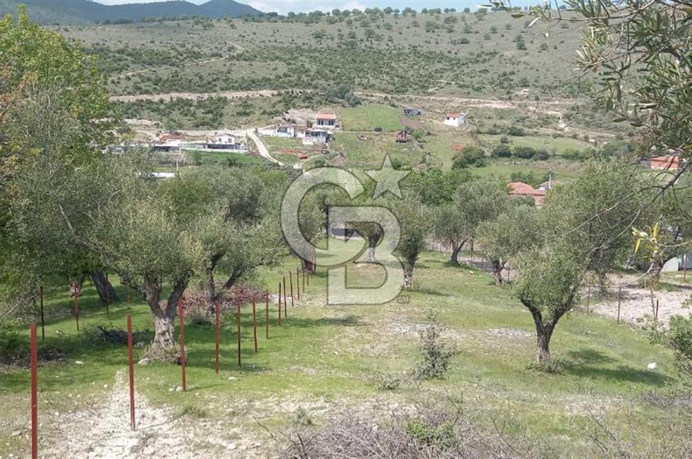 EVONA'DAN ŞEHZADELER KAĞAN MAHALLESİ'NDE 1.200 M² ARSA | 250 M²
