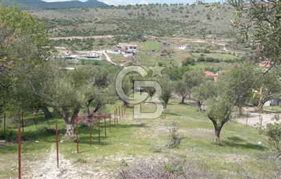 EVONA'DAN ŞEHZADELER KAĞAN MAHALLESİ'NDE 1.200 M² ARSA | 250 M²