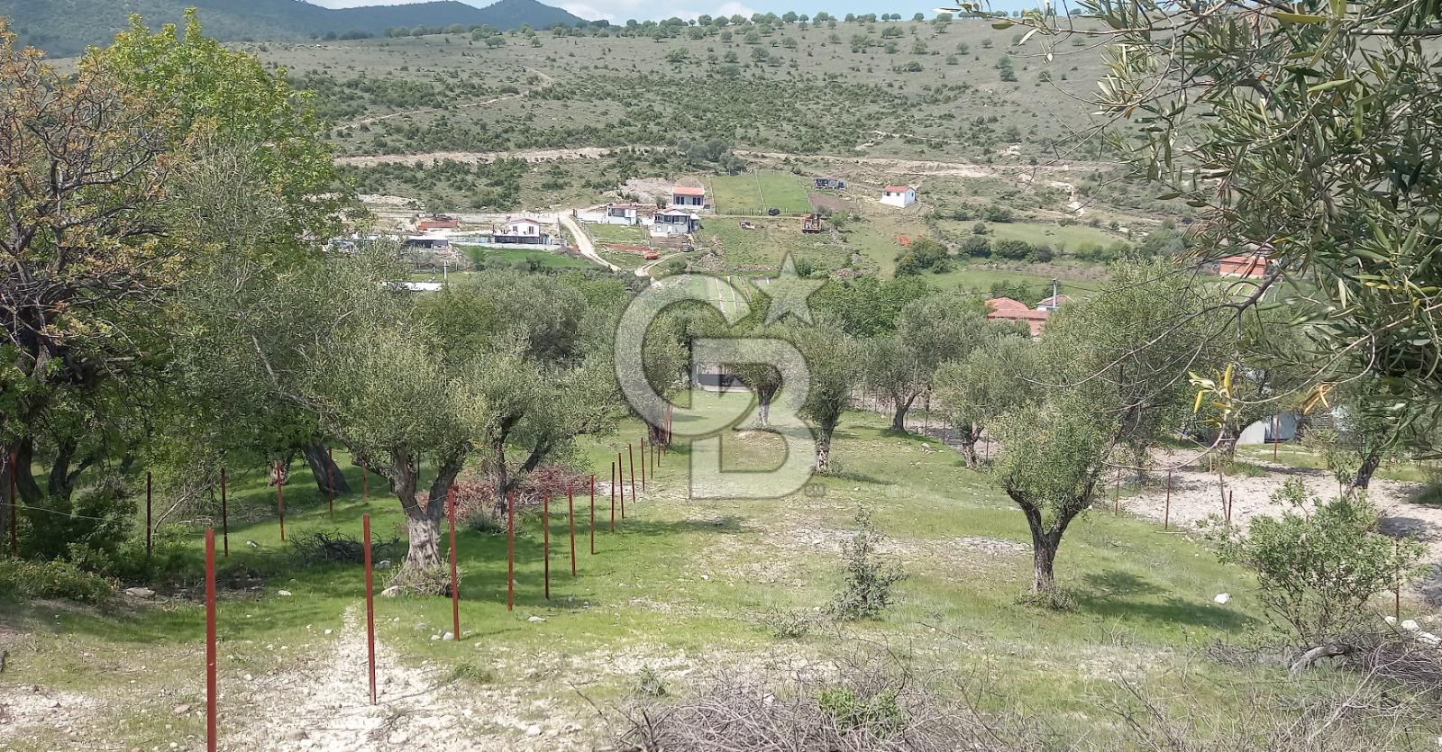 EVONA'DAN ŞEHZADELER KAĞAN MAHALLESİ'NDE 1.200 M² ARSA | 250 M²