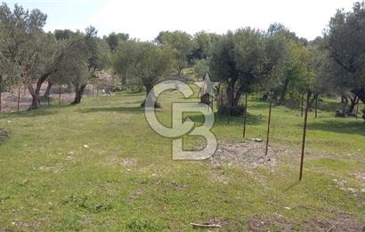 EVONA'DAN ŞEHZADELER KAĞAN MAHALLESİ'NDE 1.200 M² ARSA | 250 M²