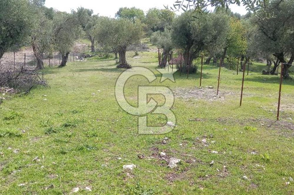 EVONA'DAN ŞEHZADELER KAĞAN MAHALLESİ'NDE 1.200 M² ARSA | 250 M²