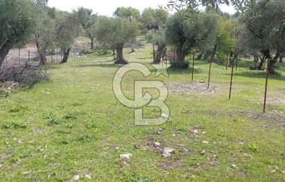 EVONA'DAN ŞEHZADELER KAĞAN MAHALLESİ'NDE 1.200 M² ARSA | 250 M²