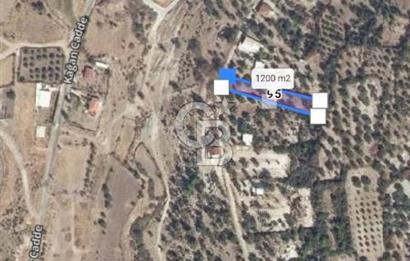 EVONA'DAN ŞEHZADELER KAĞAN MAHALLESİ'NDE 1.200 M² ARSA | 250 M²