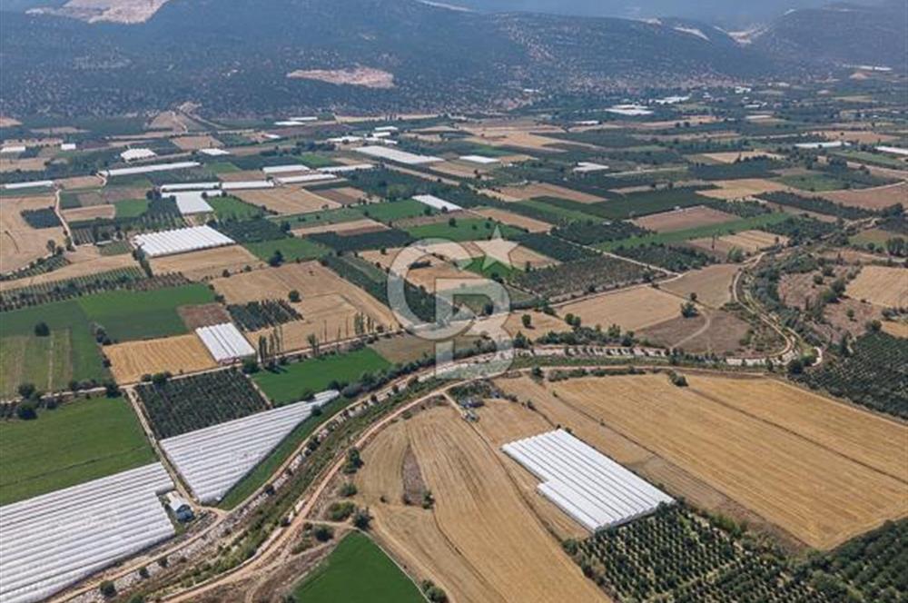 ANTALYA ELMALI ÇAYBAŞI’NDA CB ARDEN DEN SATILIK TARLA 10.650 m² tarla– 5.300 m² ‘si KURULU SERA + EV