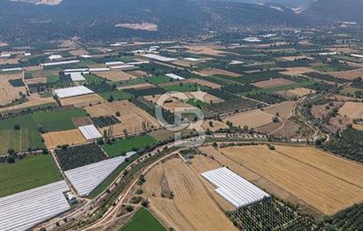ANTALYA ELMALI ÇAYBAŞI’NDA CB ARDEN DEN SATILIK TARLA 10.650 m² tarla– 5.300 m² ‘si KURULU SERA + EV