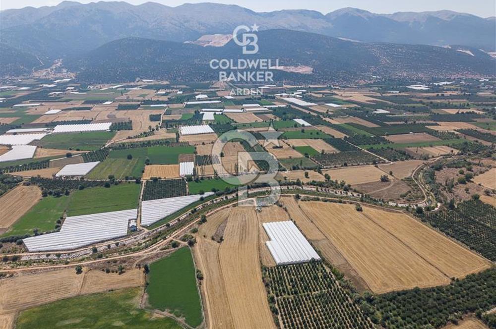 ANTALYA ELMALI ÇAYBAŞI’NDA CB ARDEN DEN SATILIK TARLA 10.650 m² tarla– 5.300 m² ‘si KURULU SERA + EV