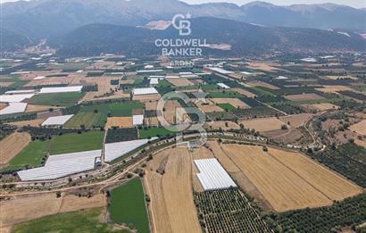 ANTALYA ELMALI ÇAYBAŞI’NDA CB ARDEN DEN SATILIK TARLA 10.650 m² tarla– 5.300 m² ‘si KURULU SERA + EV