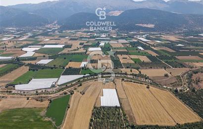 ANTALYA ELMALI ÇAYBAŞI’NDA CB ARDEN DEN SATILIK TARLA 10.650 m² tarla– 5.300 m² ‘si KURULU SERA + EV