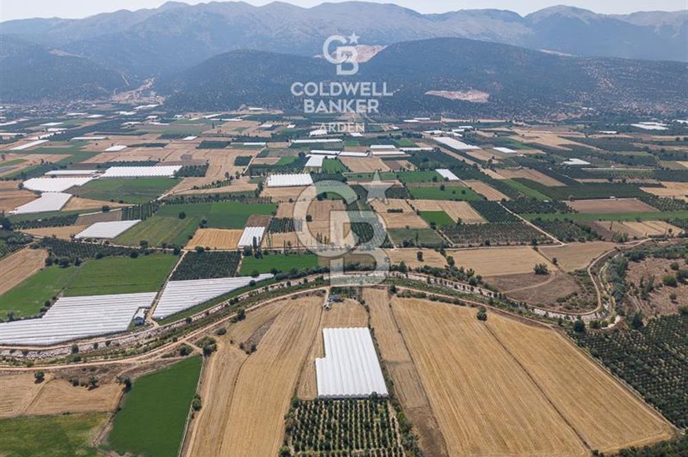 ANTALYA ELMALI ÇAYBAŞI’NDA CB ARDEN DEN SATILIK TARLA 10.650 m² tarla– 5.300 m² ‘si KURULU SERA + EV