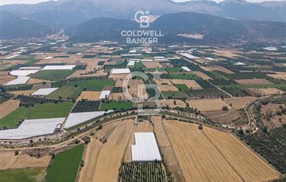 ANTALYA ELMALI ÇAYBAŞI’NDA CB ARDEN DEN SATILIK TARLA 10.650 m² tarla– 5.300 m² ‘si KURULU SERA + EV