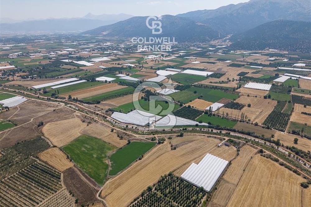 ANTALYA ELMALI ÇAYBAŞI’NDA CB ARDEN DEN SATILIK TARLA 10.650 m² tarla– 5.300 m² ‘si KURULU SERA + EV
