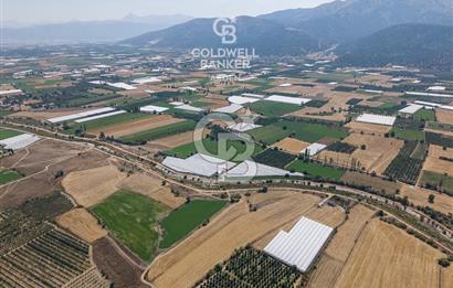 ANTALYA ELMALI ÇAYBAŞI’NDA CB ARDEN DEN SATILIK TARLA 10.650 m² tarla– 5.300 m² ‘si KURULU SERA + EV
