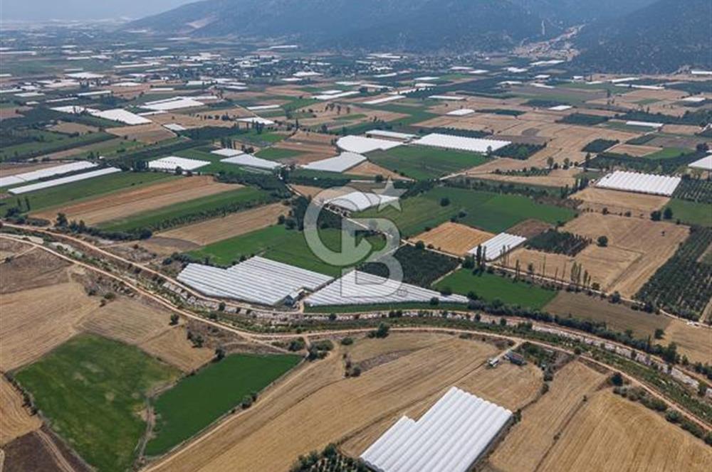 ANTALYA ELMALI ÇAYBAŞI’NDA CB ARDEN DEN SATILIK TARLA 10.650 m² tarla– 5.300 m² ‘si KURULU SERA + EV