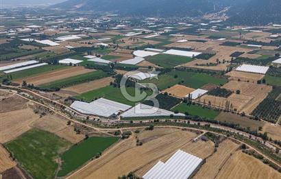 ANTALYA ELMALI ÇAYBAŞI’NDA CB ARDEN DEN SATILIK TARLA 10.650 m² tarla– 5.300 m² ‘si KURULU SERA + EV