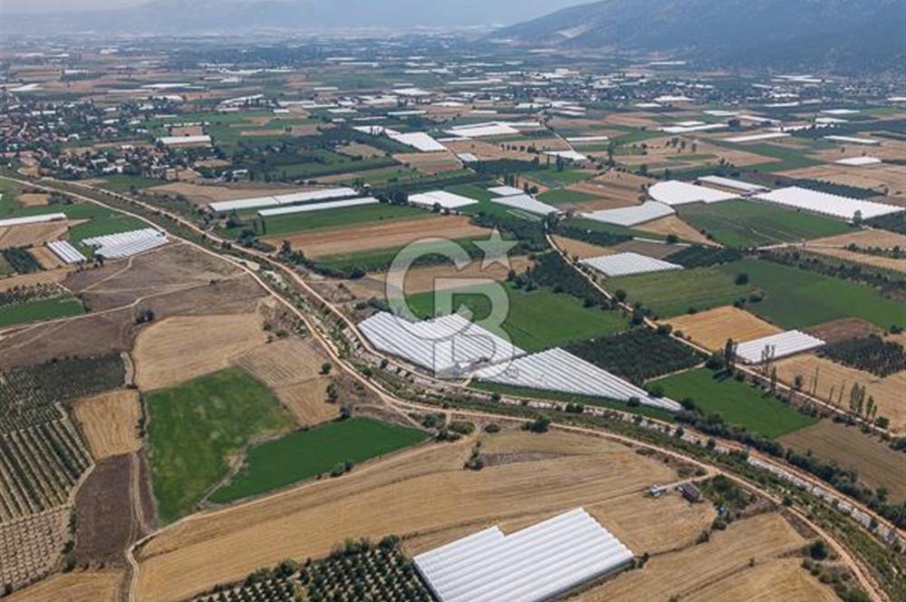 ANTALYA ELMALI ÇAYBAŞI’NDA CB ARDEN DEN SATILIK TARLA 10.650 m² tarla– 5.300 m² ‘si KURULU SERA + EV