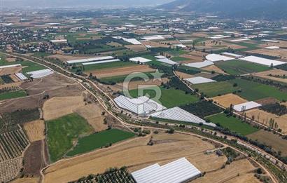 ANTALYA ELMALI ÇAYBAŞI’NDA CB ARDEN DEN SATILIK TARLA 10.650 m² tarla– 5.300 m² ‘si KURULU SERA + EV