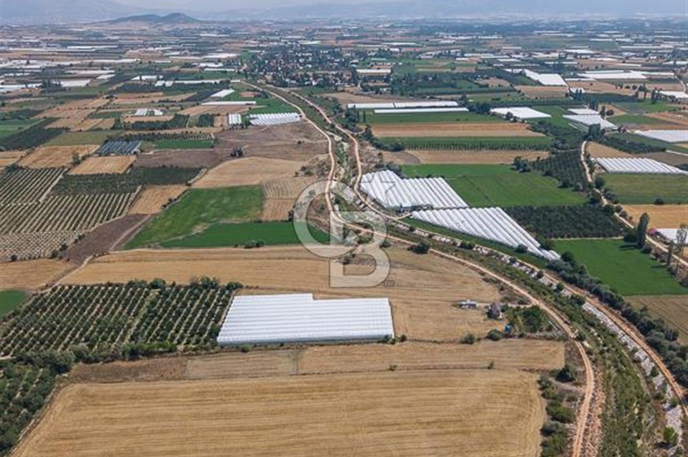 ANTALYA ELMALI ÇAYBAŞI’NDA CB ARDEN DEN SATILIK TARLA 10.650 m² tarla– 5.300 m² ‘si KURULU SERA + EV