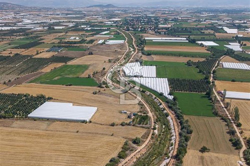 ANTALYA ELMALI ÇAYBAŞI’NDA CB ARDEN DEN SATILIK TARLA 10.650 m² tarla– 5.300 m² ‘si KURULU SERA + EV