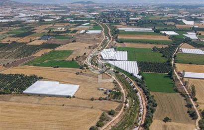 ANTALYA ELMALI ÇAYBAŞI’NDA CB ARDEN DEN SATILIK TARLA 10.650 m² tarla– 5.300 m² ‘si KURULU SERA + EV