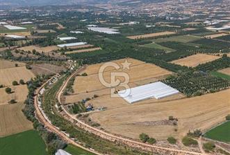 ANTALYA ELMALI ÇAYBAŞI’NDA CB ARDEN DEN SATILIK TARLA 10.650 m² tarla– 5.300 m² ‘si KURULU SERA + EV - 12 - 370734