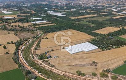 ANTALYA ELMALI ÇAYBAŞI’NDA CB ARDEN DEN SATILIK TARLA 10.650 m² tarla– 5.300 m² ‘si KURULU SERA + EV