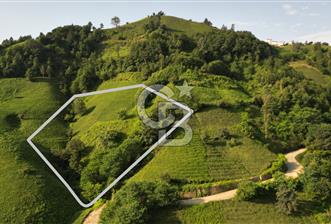 OF KUMLUDERE'DE SATILIK 2.623 M² ARAZİ - 1 - 370727
