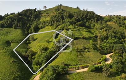 OF KUMLUDERE'DE SATILIK 2.623 M² ARAZİ