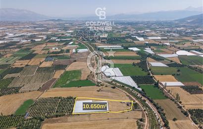 ANTALYA ELMALI ÇAYBAŞI’NDA CB ARDEN DEN SATILIK TARLA 10.650 m² tarla– 5.300 m² ‘si KURULU SERA + EV