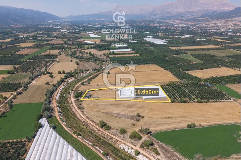 ANTALYA ELMALI ÇAYBAŞI’NDA CB ARDEN DEN SATILIK TARLA 10.650 m² tarla– 5.300 m² ‘si KURULU SERA + EV