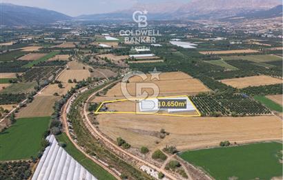 ANTALYA ELMALI ÇAYBAŞI’NDA CB ARDEN DEN SATILIK TARLA 10.650 m² tarla– 5.300 m² ‘si KURULU SERA + EV