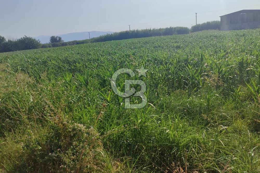 AYDIN NAZİLLİ ARSLANLI'DA 5.751 m² YATIRIMLIK TARLA