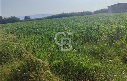 AYDIN NAZİLLİ ARSLANLI'DA 5.751 m² YATIRIMLIK TARLA